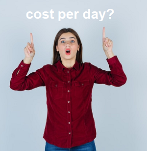 How much does it cost per day?